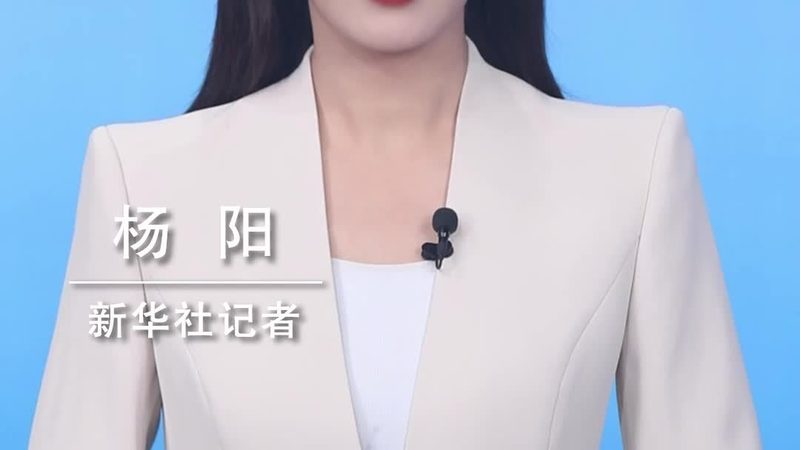 SaaS平台排名前十：揭秘企业数字化转型的关键伙伴